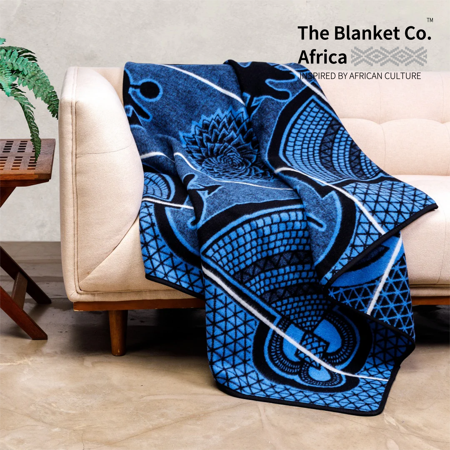 Kharetsa - Aloe - Black Cobalt Natural